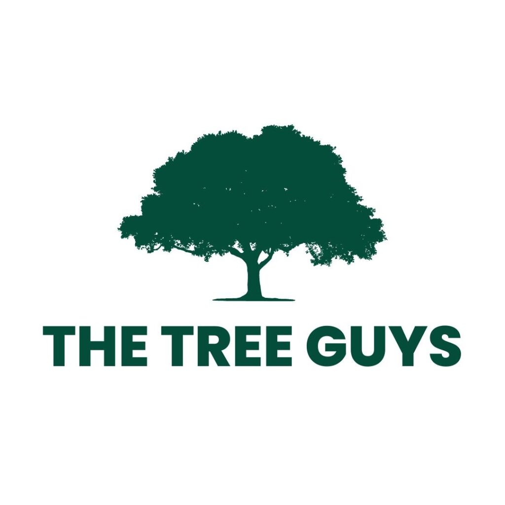The Tree Guys - Logo